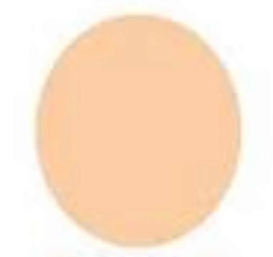 Christine Pure Stay Liquid Foundation – Matte Finish (40ml)