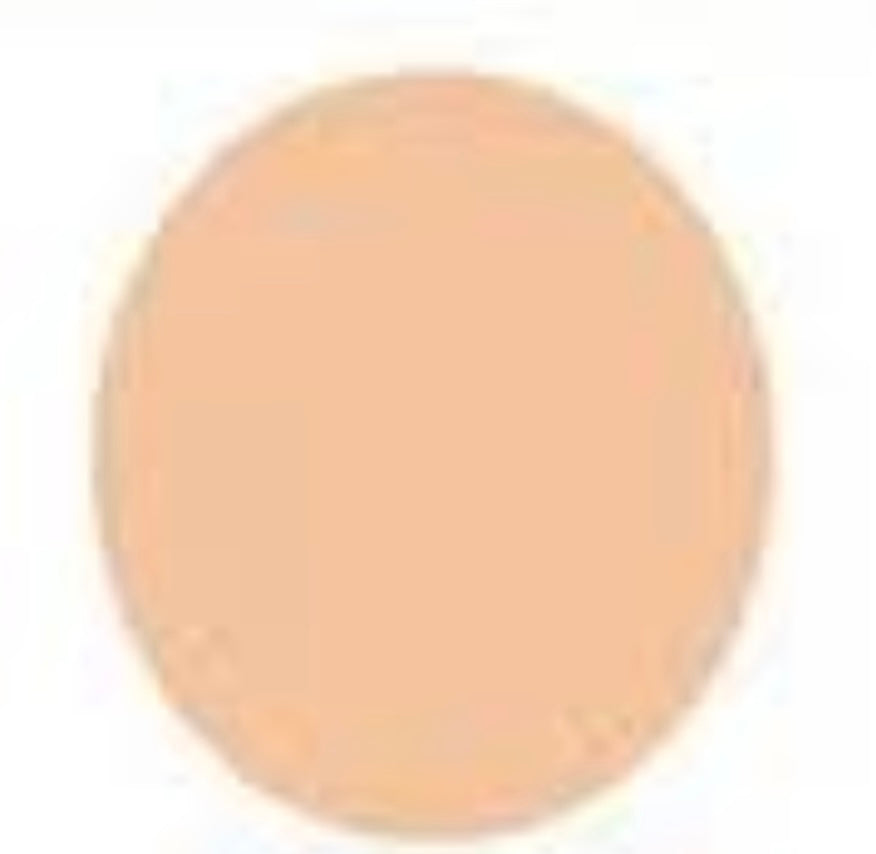 Christine Pure Stay Liquid Foundation – Matte Finish (40ml)