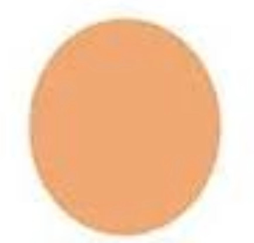 Christine Pure Stay Liquid Foundation – Matte Finish (40ml)